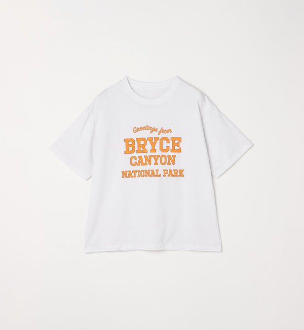 SHIPS any「SHIPS any: NATIONAL PARK ヴィンテージライク プリント Tシャツ◇」|Tシャツ・カットソー|