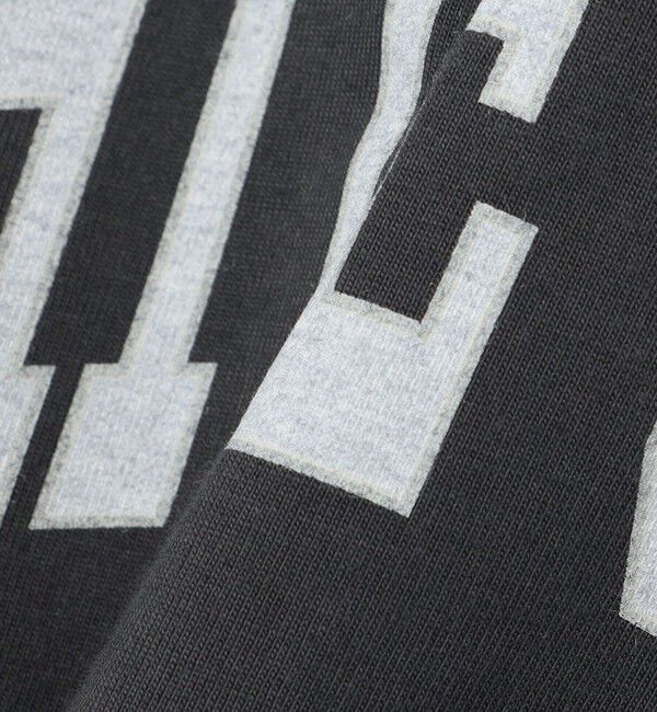 SHIPS any「SHIPS any: NATIONAL PARK ヴィンテージライク プリント Tシャツ◇」|Tシャツ・カットソー|