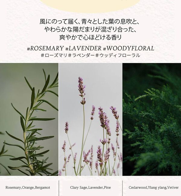 Rouge vif「【FIT YOUR SKIN/フィットユアスキン】クッションファンデ/アートフィ」|その他|