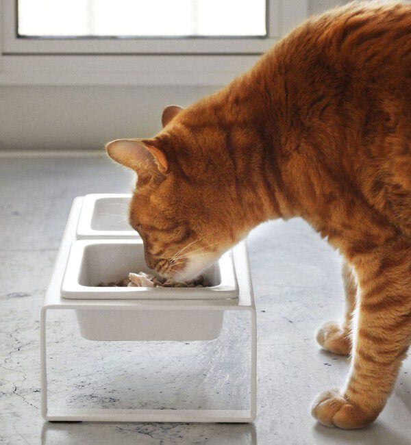 Style for Living「＜tower＞ペットフード スタンドセット」|その他|