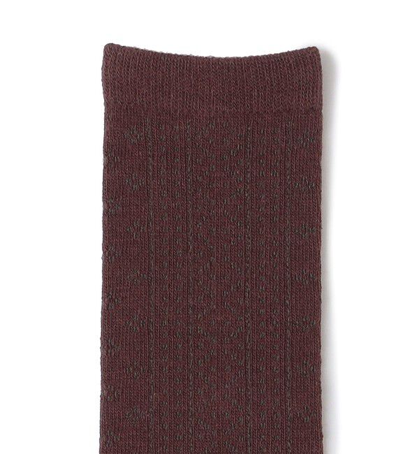 SHIPS KIDS「SHIPS KIDS:オープンワーク ハイ ソックス」|ソックス|