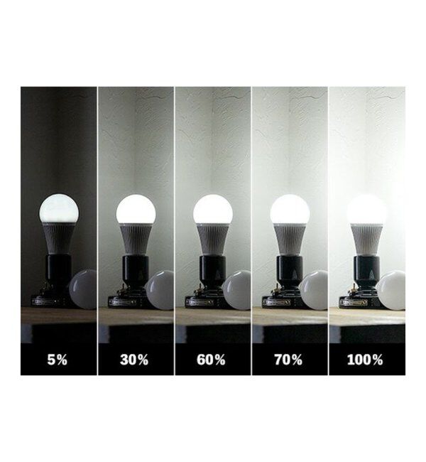 journal standard Furniture「【Room switch/ルームスイッチ】 LED bulb 電球」|その他|