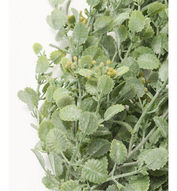 journal standard Furniture「【Brown./ブラウン】イエローランタナ ハンギングブッシュ　フェイクグリーン」|その他|