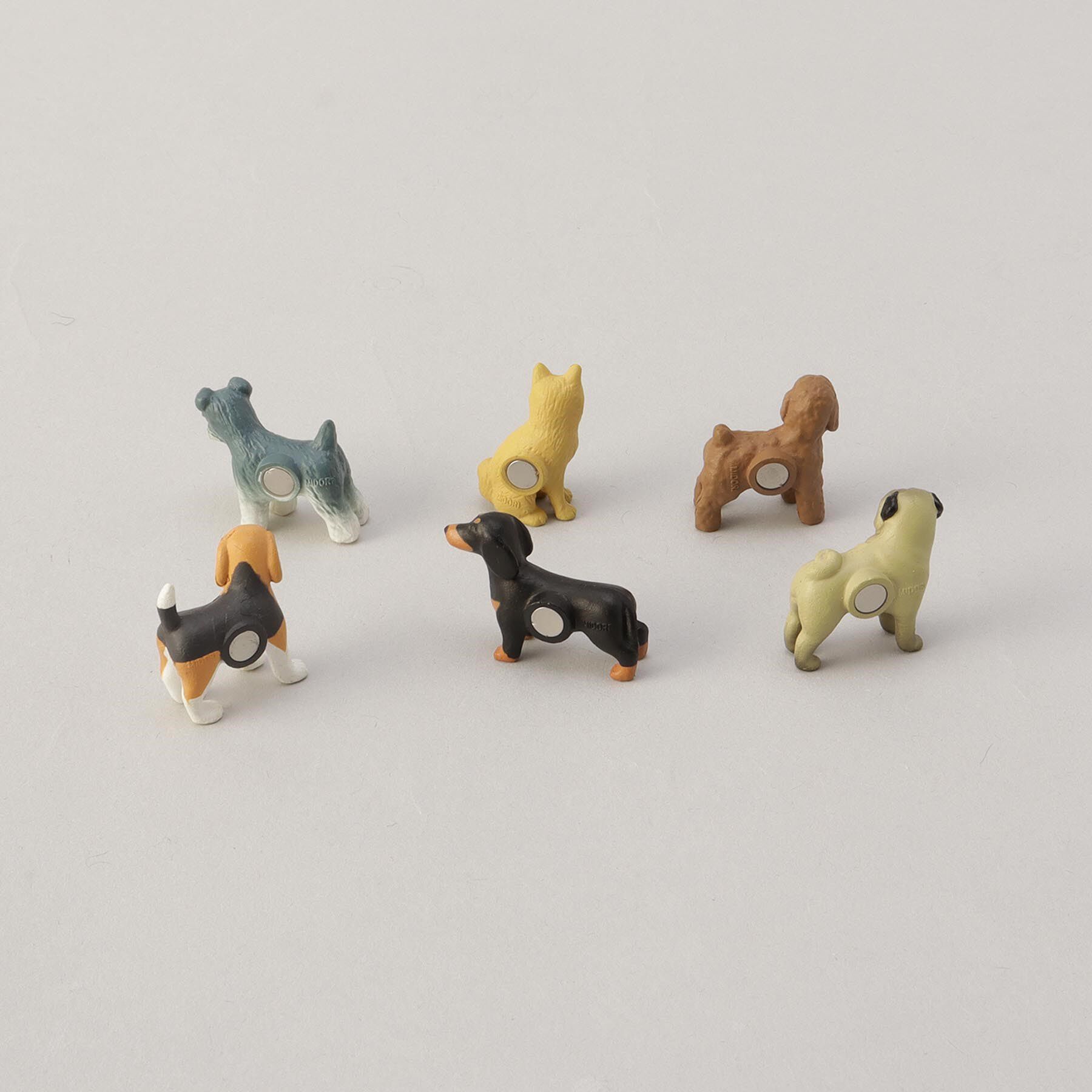 212 KITCHEN STORE「ミニマグネット　６個入　イヌ柄Ｃ」|その他|