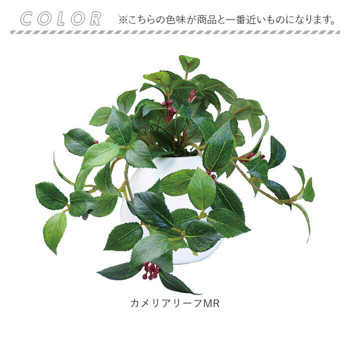 BACKYARD FAMILY「光触媒 フェイクグリーン 通販 イミテーショングリーン 人工観葉植物 インテリアグリーン 中型丸鉢」|その他|