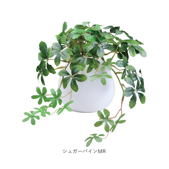 BACKYARD FAMILY「光触媒 フェイクグリーン 通販 イミテーショングリーン 人工観葉植物 インテリアグリーン 中型丸鉢」|その他|