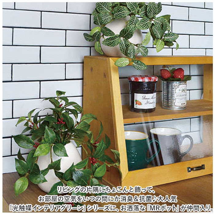 BACKYARD FAMILY「光触媒 フェイクグリーン 通販 イミテーショングリーン 人工観葉植物 インテリアグリーン 中型丸鉢」|その他|