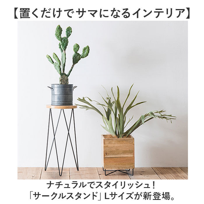 BACKYARD FAMILY「サイドテーブル 丸型 おしゃれ 通販 ナイトテーブル テーブル 丸 インテリアスタンド」|その他|