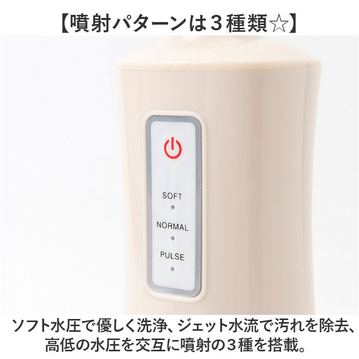 BACKYARD FAMILY「口腔洗浄器 ウォーターフロス 通販 オーラルフレッシュ 口腔洗浄機 水流 歯ブラシ 電動 洗浄」|その他|