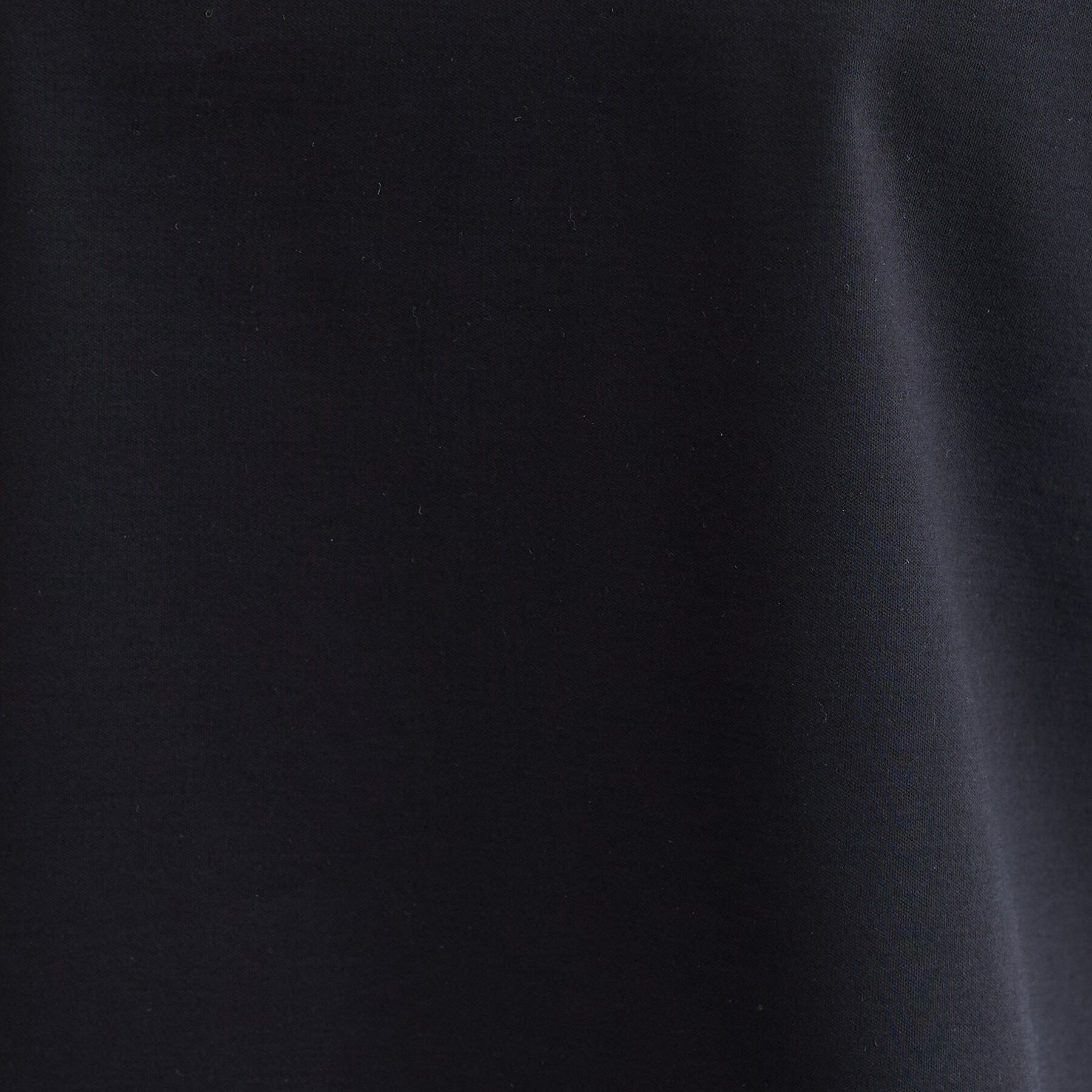 INDIVI「【抗菌防臭／消臭】上品光沢コットンTシャツ」|Tシャツ・カットソー|