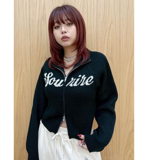 EVRIS「コンパクトジャガードニットトップス」|ニット・セーター|