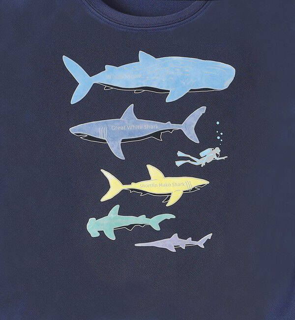 SHIPS KIDS「SHIPS KIDS:80c～90m /〈接触冷感/吸水速乾〉シャーク フリーク TEE」|Tシャツ・カットソー|