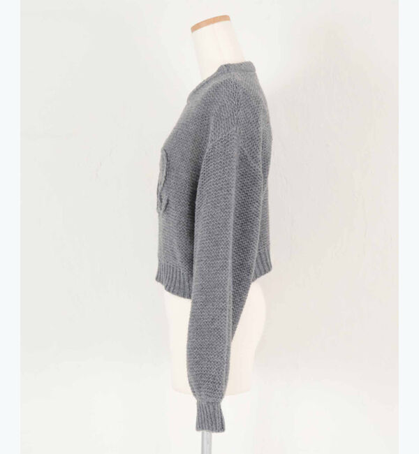 titivate「透かし編み刺繍クロップドプルオーバー」|ニット・セーター|