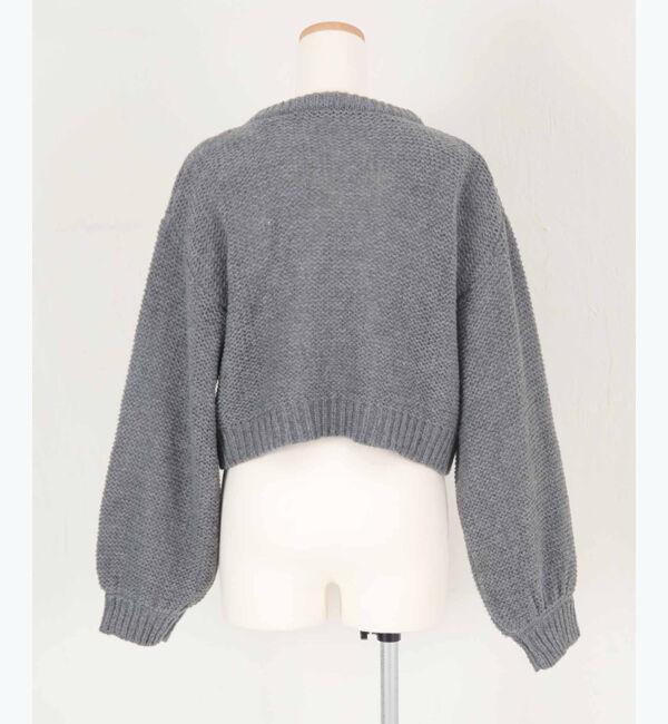 titivate「透かし編み刺繍クロップドプルオーバー」|ニット・セーター|