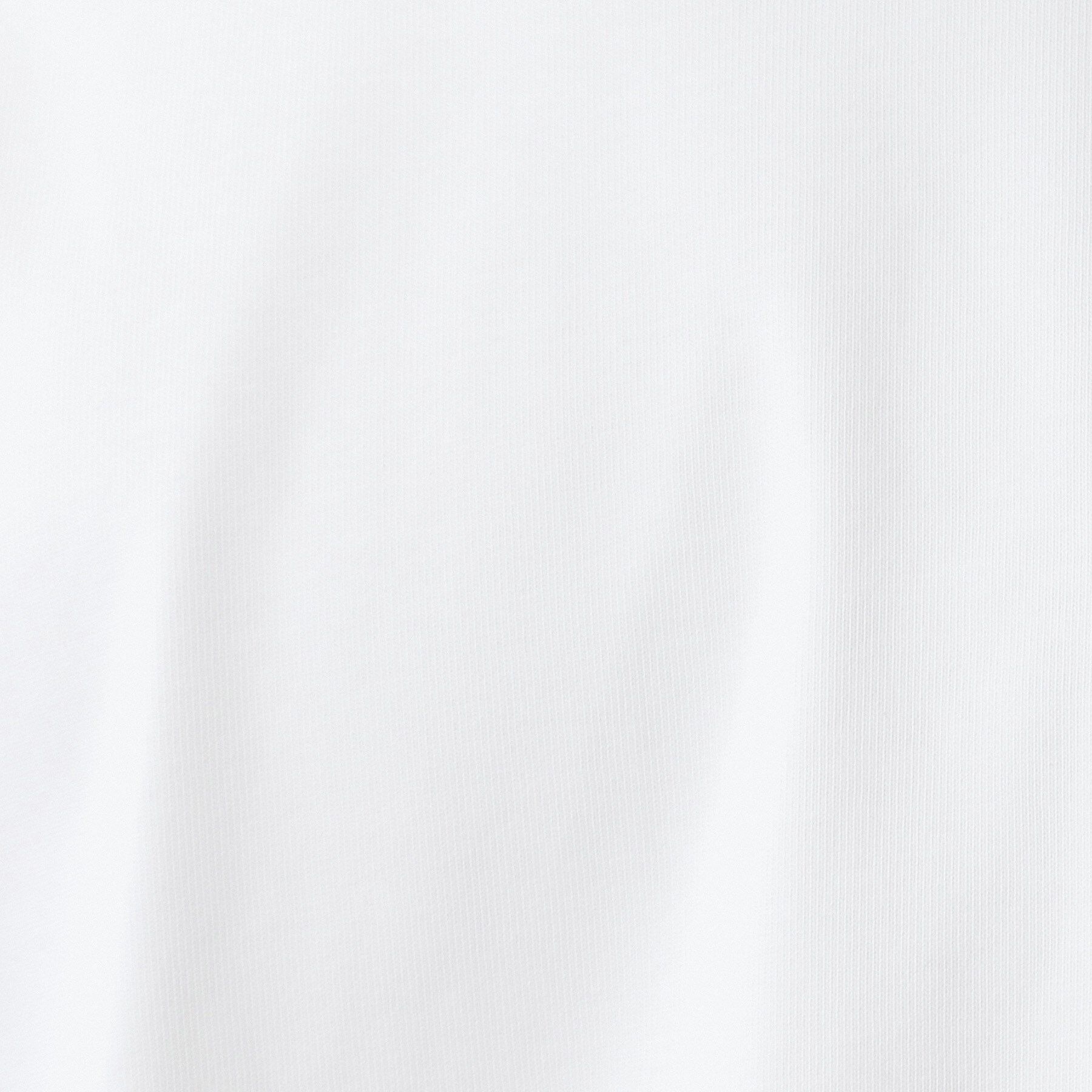 Dessin「【洗える】ヘビー天竺ロンT」|Tシャツ・カットソー|