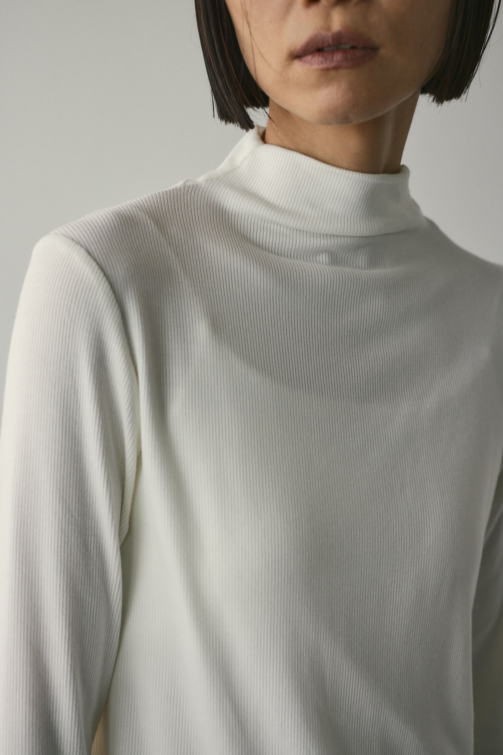 STYLEMIXER「ソフトリブハイネックトップ」|Tシャツ・カットソー|