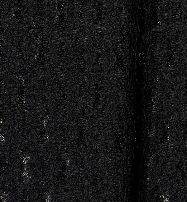 UNITED ARROWS green label relaxing「【WEB限定】＜at ease＞シャーリングレース プルオーバー カットソー」|Tシャツ・カットソー|