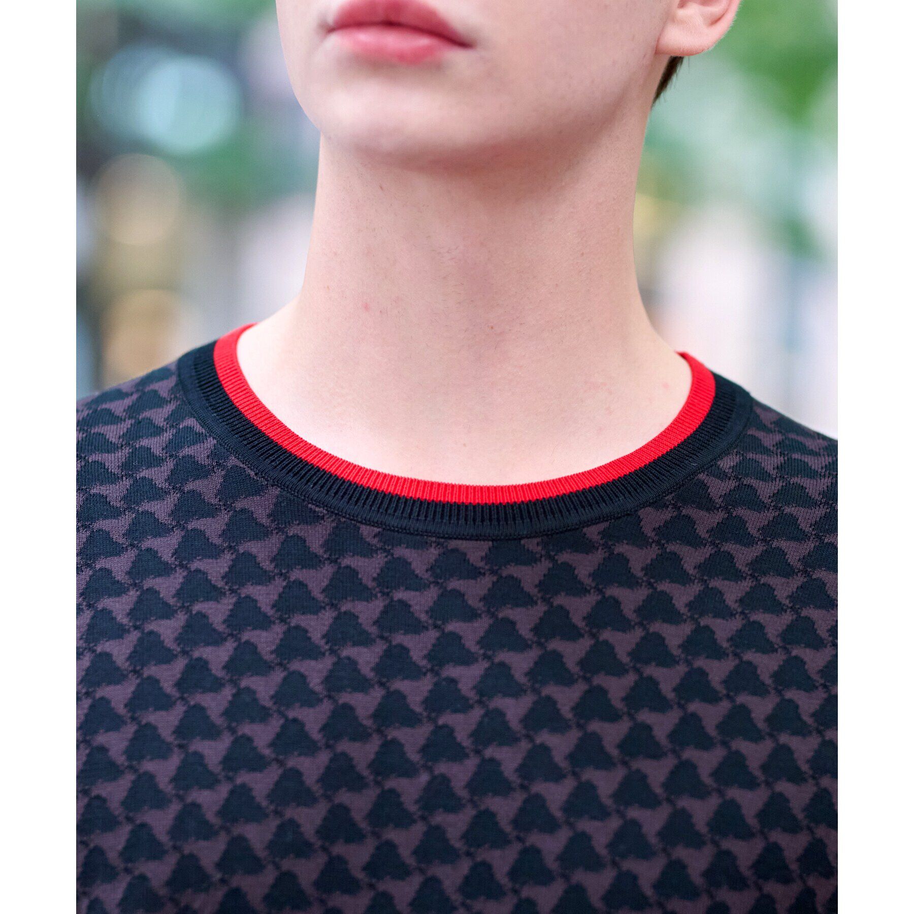 DRESSTERIOR「トリニティジャカードニット」|ニット・セーター|