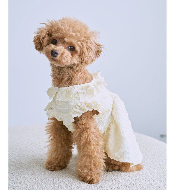 ROPE PICNIC PASSAGE「【DOG】フリルワンピース」|その他|