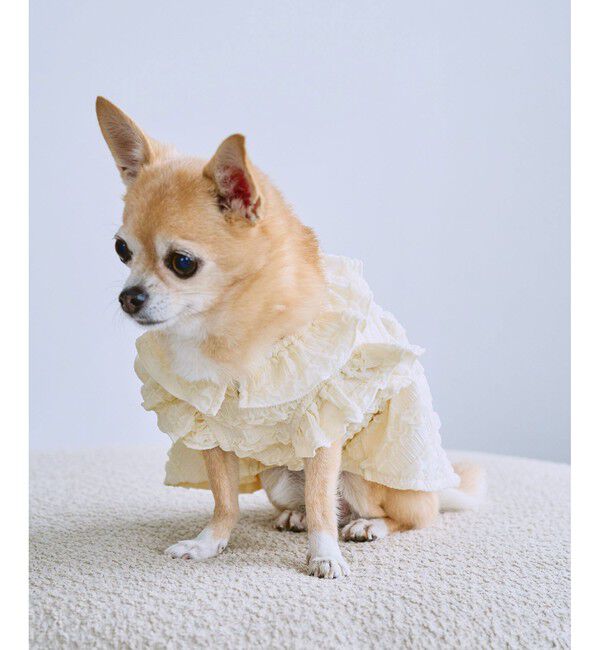 ROPE PICNIC PASSAGE「【DOG】フリルワンピース」|その他|