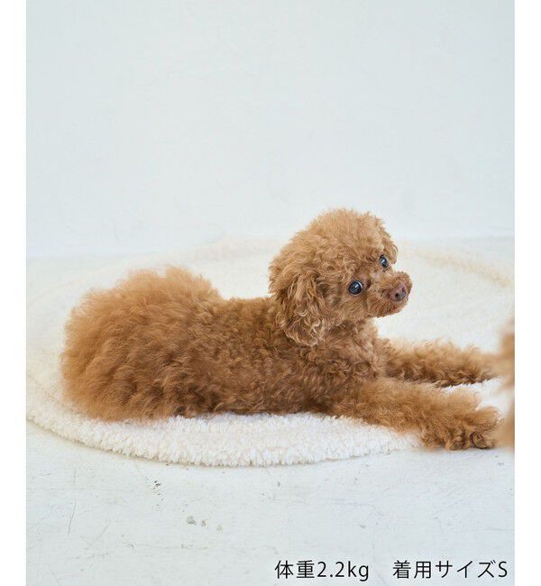 ROPE PICNIC PASSAGE「【DOG】フリルワンピース」|その他|