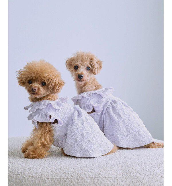 ROPE PICNIC PASSAGE「【DOG】フリルワンピース」|その他|