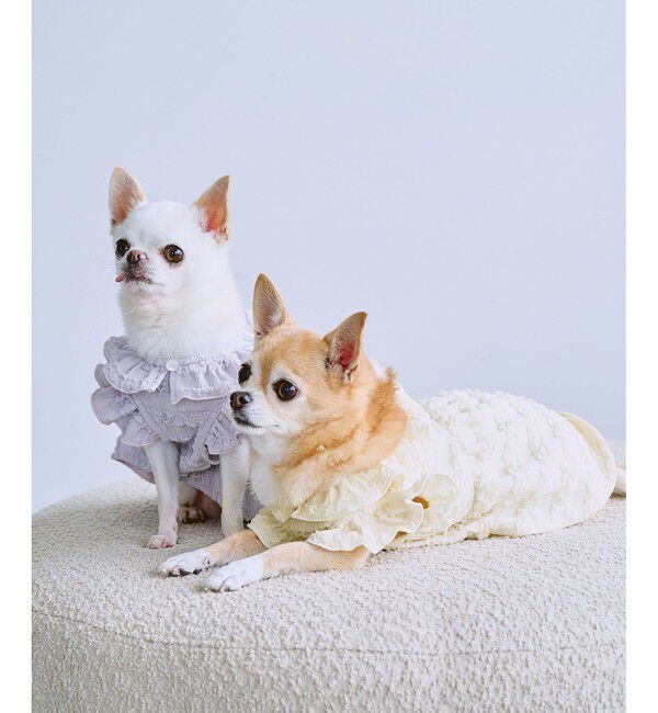 ROPE PICNIC PASSAGE「【DOG】フリルワンピース」|その他|