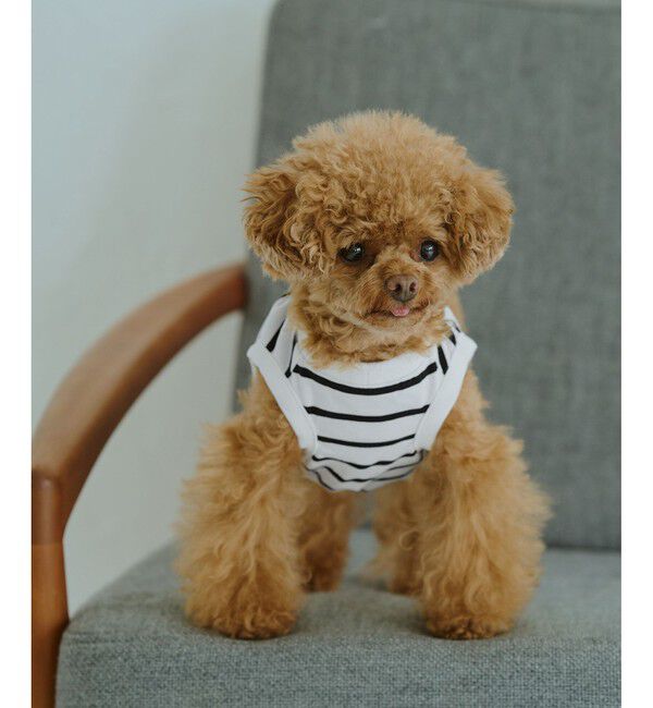 ROPE PICNIC PASSAGE「【DOG】リンクボーダータンクトップ」|その他|