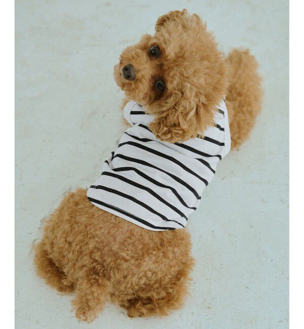 ROPE PICNIC PASSAGE「【DOG】リンクボーダータンクトップ」|その他|