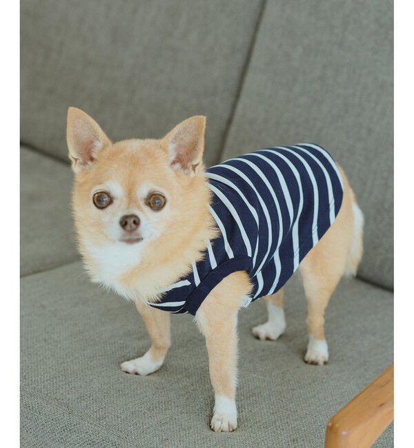 ROPE PICNIC PASSAGE「【DOG】リンクボーダータンクトップ」|その他|