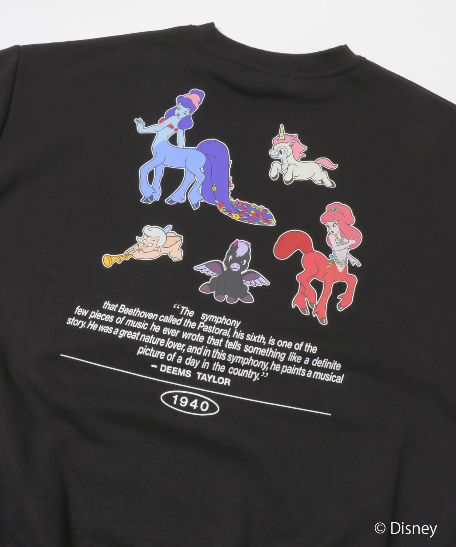 SENSE OF PLACE by URBAN RESEARCH「『別注』FANTASIA/クルーネックスウェットB」|スウェット・ジャージ|