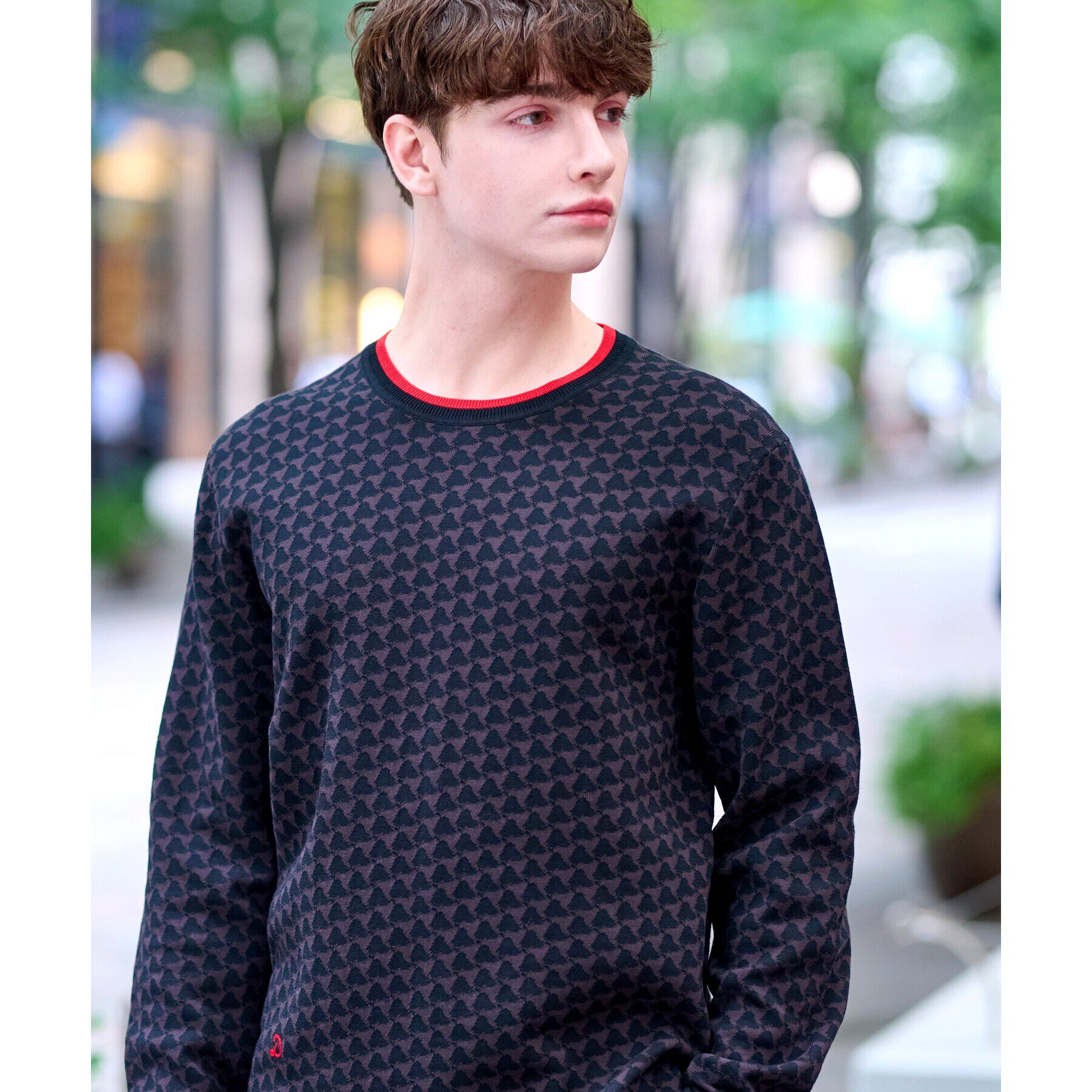 DRESSTERIOR「トリニティジャカードニット」|ニット・セーター|