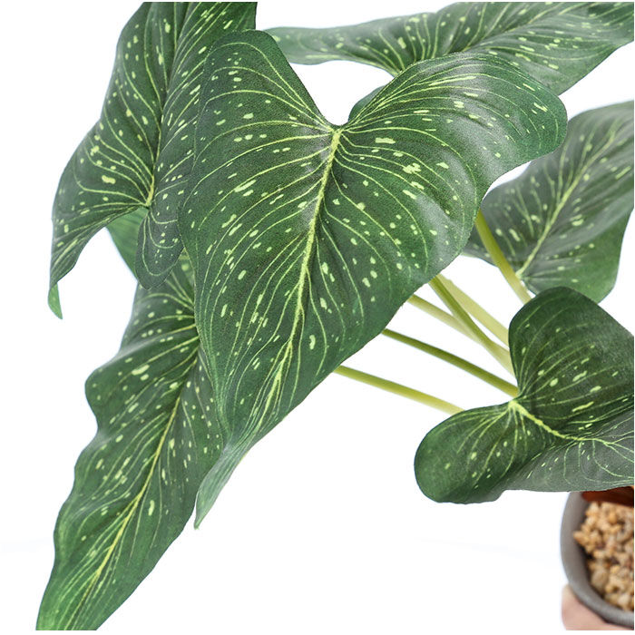 BACKYARD FAMILY「観葉植物 フェイク 大型 通販 フェイクグリーン アーティフィシャルグリーン インテリアグリーン」|その他|