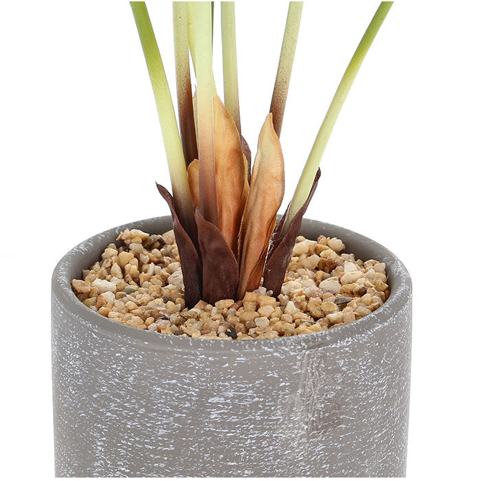 BACKYARD FAMILY「観葉植物 フェイク 大型 通販 フェイクグリーン アーティフィシャルグリーン インテリアグリーン」|その他|