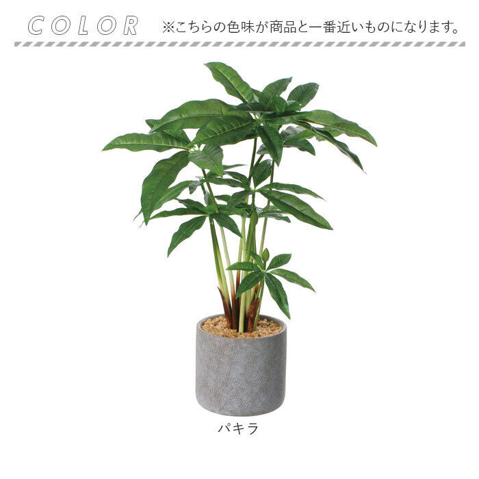 BACKYARD FAMILY「観葉植物 フェイク 大型 通販 フェイクグリーン アーティフィシャルグリーン インテリアグリーン」|その他|