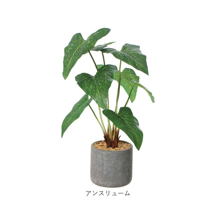 BACKYARD FAMILY「観葉植物 フェイク 大型 通販 フェイクグリーン アーティフィシャルグリーン インテリアグリーン」|その他|