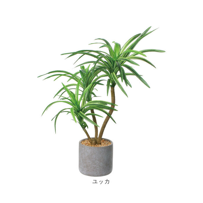 BACKYARD FAMILY「観葉植物 フェイク 大型 通販 フェイクグリーン アーティフィシャルグリーン インテリアグリーン」|その他|