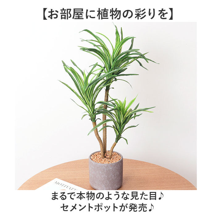 BACKYARD FAMILY「観葉植物 フェイク 大型 通販 フェイクグリーン アーティフィシャルグリーン インテリアグリーン」|その他|