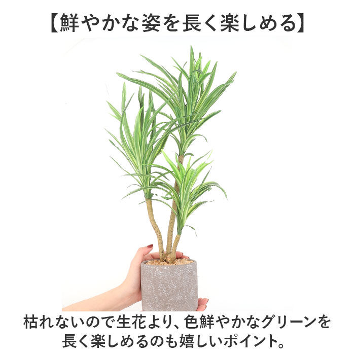 BACKYARD FAMILY「観葉植物 フェイク 大型 通販 フェイクグリーン アーティフィシャルグリーン インテリアグリーン」|その他|