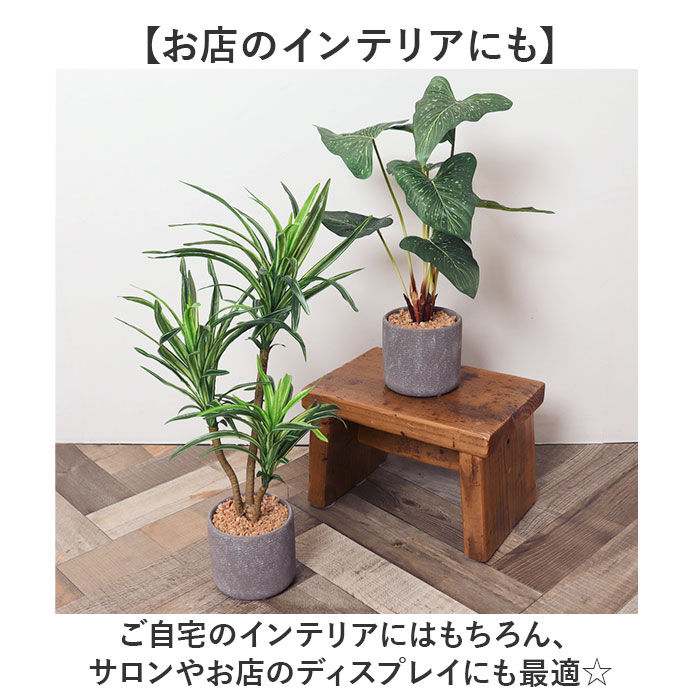 BACKYARD FAMILY「観葉植物 フェイク 大型 通販 フェイクグリーン アーティフィシャルグリーン インテリアグリーン」|その他|