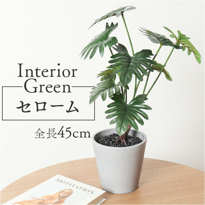 BACKYARD FAMILY「観葉植物 フェイク 大型 通販 フェイクグリーン セローム アーティフィシャルグリーン」|その他|