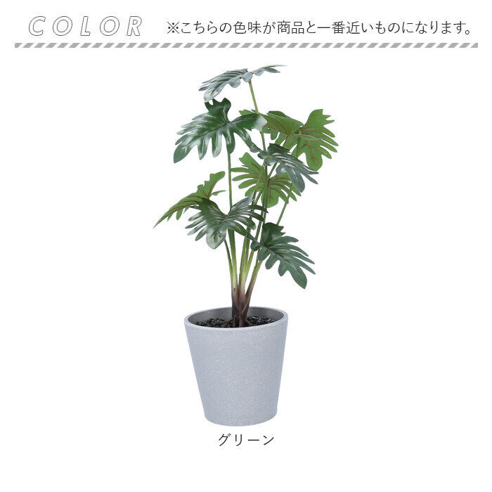BACKYARD FAMILY「観葉植物 フェイク 大型 通販 フェイクグリーン セローム アーティフィシャルグリーン」|その他|