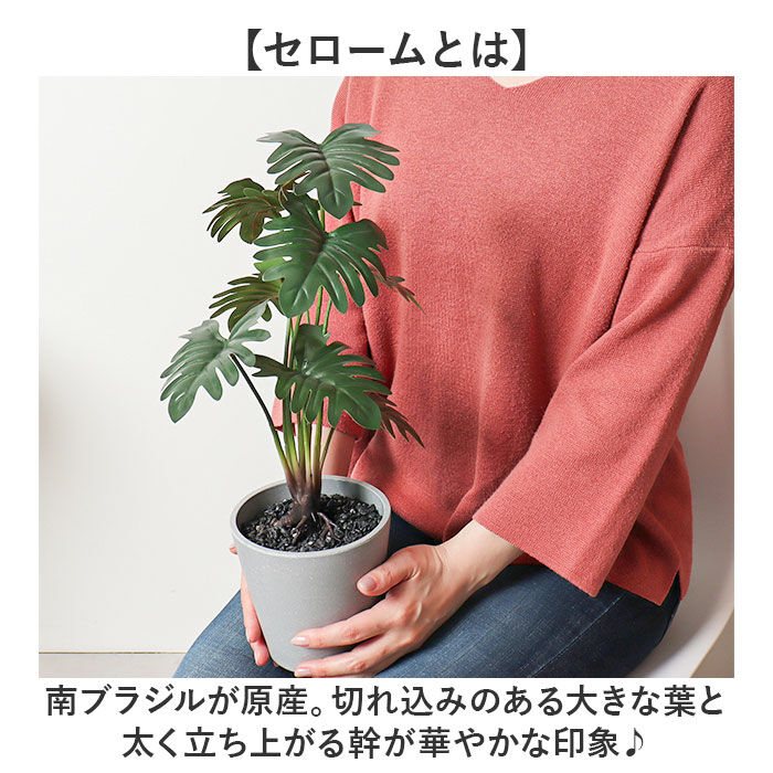 BACKYARD FAMILY「観葉植物 フェイク 大型 通販 フェイクグリーン セローム アーティフィシャルグリーン」|その他|
