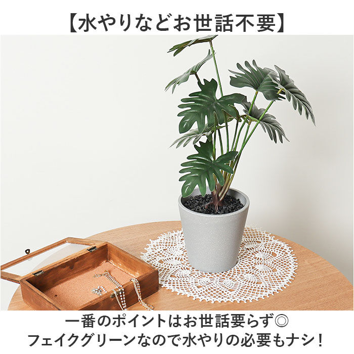 BACKYARD FAMILY「観葉植物 フェイク 大型 通販 フェイクグリーン セローム アーティフィシャルグリーン」|その他|