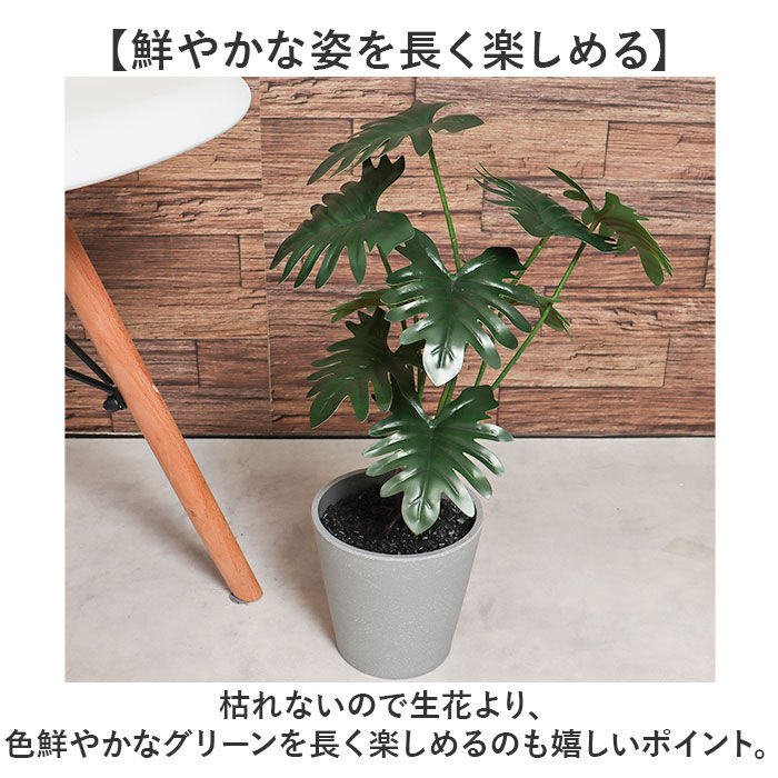 BACKYARD FAMILY「観葉植物 フェイク 大型 通販 フェイクグリーン セローム アーティフィシャルグリーン」|その他|