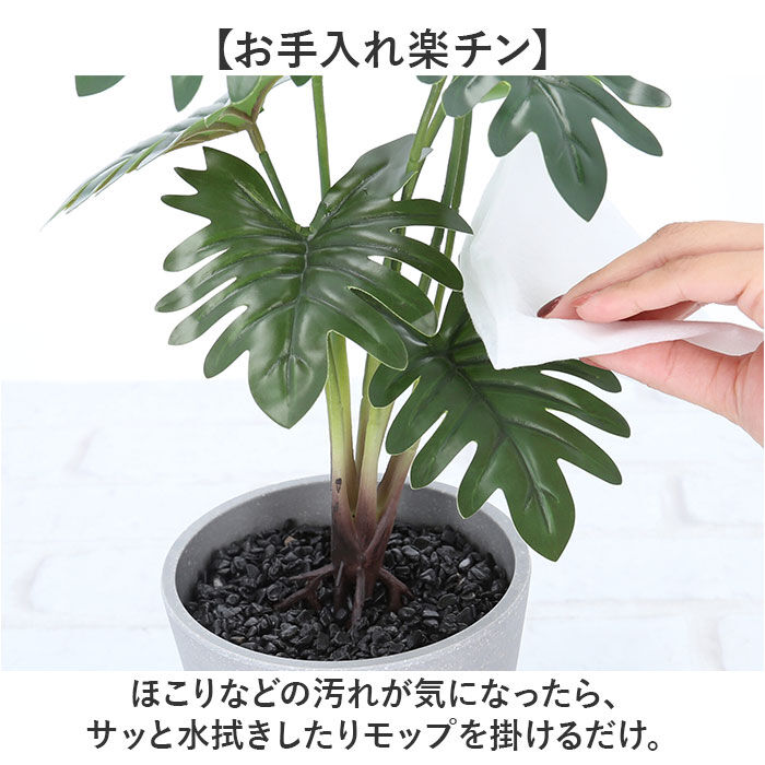 BACKYARD FAMILY「観葉植物 フェイク 大型 通販 フェイクグリーン セローム アーティフィシャルグリーン」|その他|
