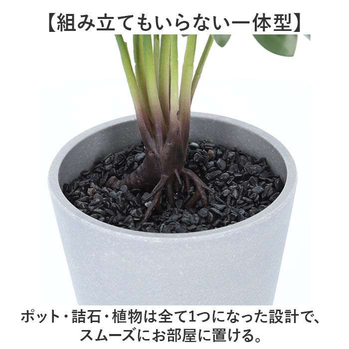 BACKYARD FAMILY「観葉植物 フェイク 大型 通販 フェイクグリーン セローム アーティフィシャルグリーン」|その他|