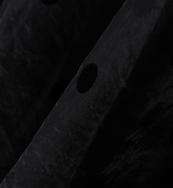 SHIPS Colors 「SHIPS Colors:オーガンジー ドット フレア スカート」|フレア|