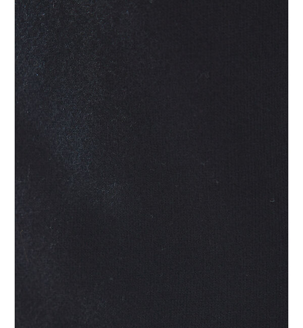 ABAHOUSE「【POLO RALRHLAUREN】トリプルポニー フリース ジョガーパンツ」|その他|