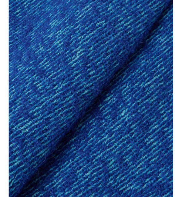 allureville「GIOLICAカルゼフロントジップスカート」|台形|